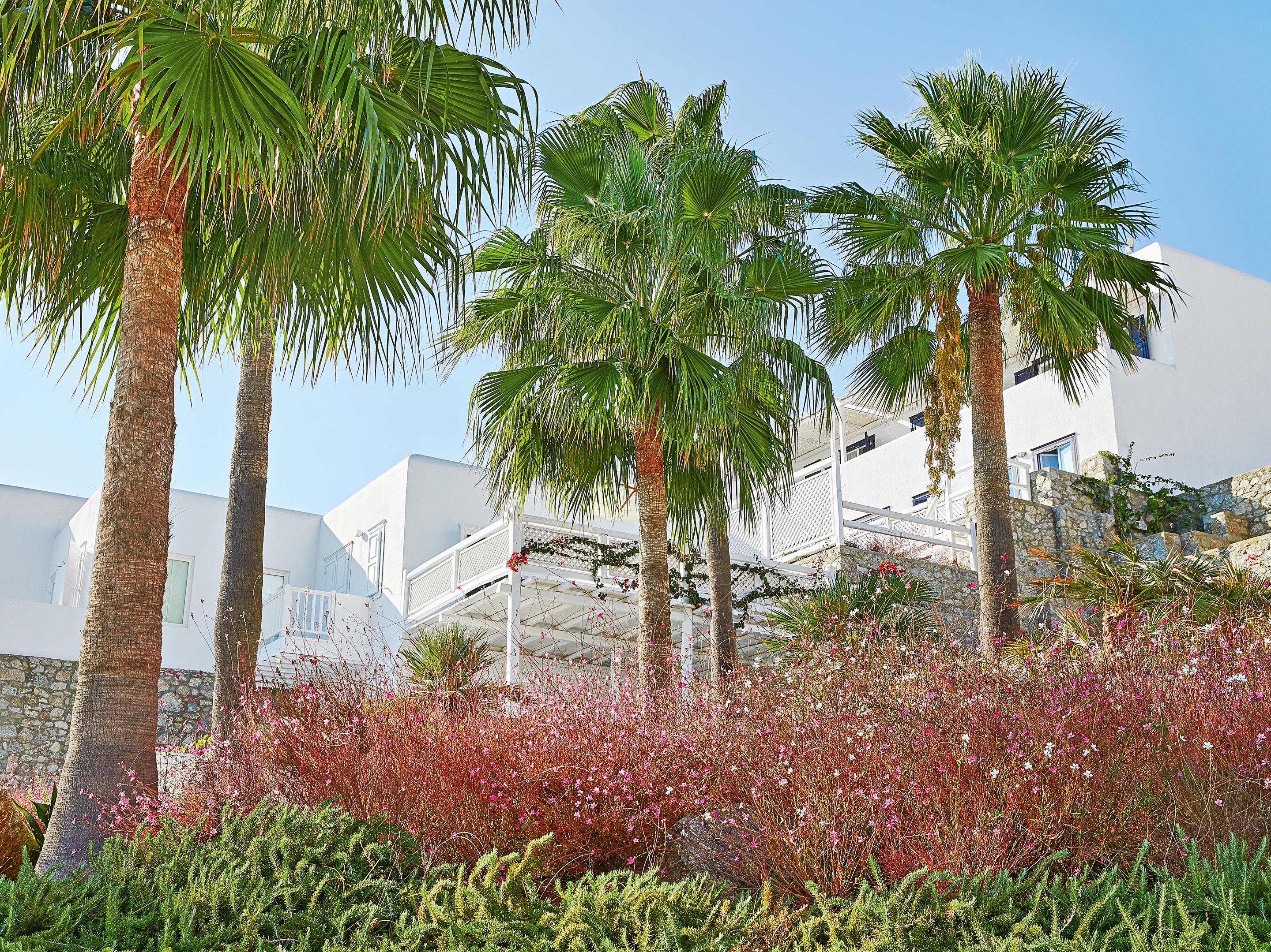 Mykonos Blu, A Grecotel Resort To Live Psarou  Esterno foto